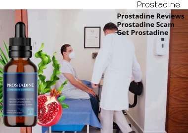 Prostadine Or Prostaten